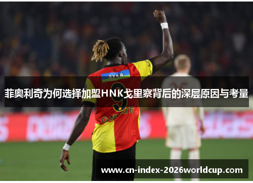 菲奥利奇为何选择加盟HNK戈里察背后的深层原因与考量 菲奥利奇为何选择加盟HNK戈里察背后的深层原因与考量